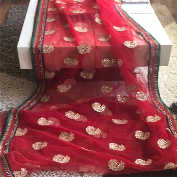 Final Sale- Indian Net Saree - Picture 7 of 8